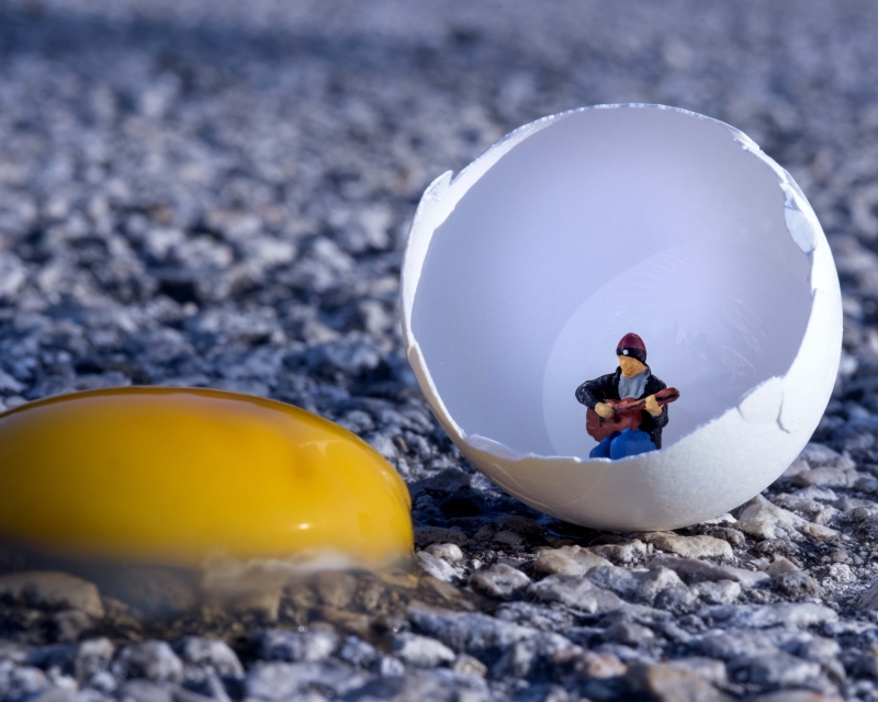 I Am the Eggman by artist Alicia Wells